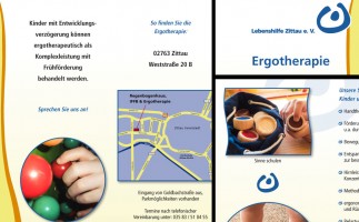Lebenshilfe Zittau // Flyer